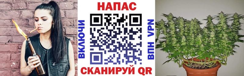 Канабис VHQ  дарнет шоп  shop наркотические препараты  Сарапул 